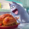 Ce que font les animaux lorsqu’on quitte la maison