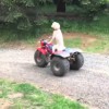 Un chien conduit un quad