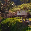 Découvre Hawai comme tu ne l’as jamais vue