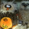 Le groove d’un bébé chouette avec une peluche musicale